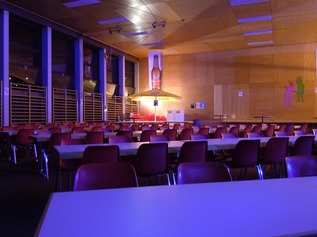 bild (33)